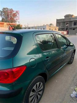 بیجۆ 307